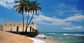 Foto: (Getty Images/iStockphoto)