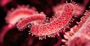 Risco de câncer de fígado pode aumentar com produto oculto em sua panela