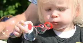 Foto: (Imagem: Pixabay)