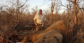 Caçador de leões e elefantes é morto a tiros na África do Sul