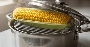 Foto: (Imagem sem texto alternativo disponivel ID [2738624])