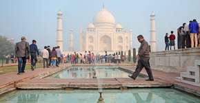 Foto: (@EcoPic/iStock)