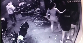 Foto: (Imagem sem texto alternativo disponivel ID [1580452])