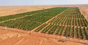 Foto: (Imagem sem texto alternativo disponivel ID [2787694])