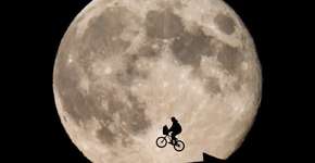 Foto: (Imagem sem texto alternativo disponivel ID [489979])