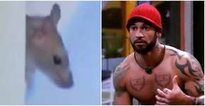 Foto: (reprodução/Instagram)