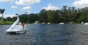 Parque Ecológico Tietê: um refúgio verde na zona leste