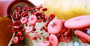 Foto: (iStock/nopparit)