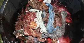 Foto: (© University of Bergen)