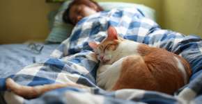 Foto: (EyeEm Mobile GmbH/istock)