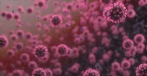 Foto: (4X-image;iStock)