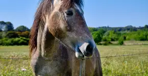 Foto: (Imagem sem texto alternativo disponivel ID [2590500])