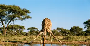 Foto: (Imagem sem texto alternativo disponivel ID [2754708])