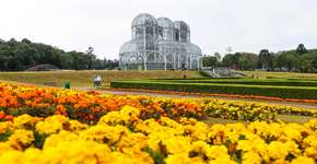 Site tem passagens de ônibus com 30% de desconto