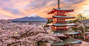 Foto: (Sean Pavone/iStock)