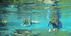 Lista do destino ideal para cada signo do zodíaco