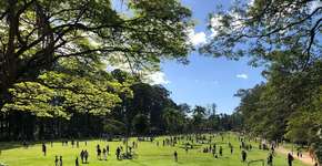 Fim de Semana Sustentável