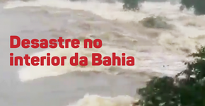 Desastre na Bahia: Barragem se rompe e moradores deixam suas casas