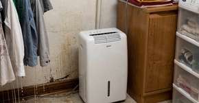 Foto: (Imagem sem texto alternativo disponivel ID [2706895])