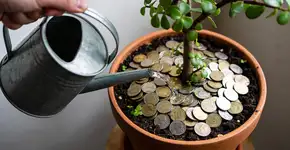 Foto: (Imagem sem texto alternativo disponivel ID [2685823])