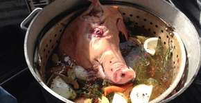 Foto: (Imagem sem texto alternativo disponivel ID [1534207])