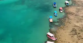 Motivos para conhecer Japaratinga (AL)