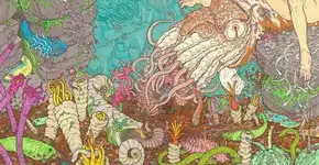 Foto: (Imagem sem texto alternativo disponivel ID [543065])