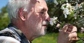 Foto: (Edgar G. Biehle/istock)