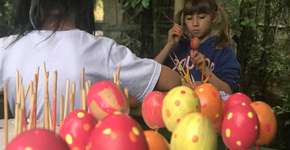 Em Pomerode (SC), alunos fazem arte em casquinhas de ovos