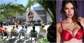 Foto: (Imagem sem texto alternativo disponivel ID [1092383])