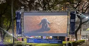 Foto: (Foto: Divulgação.)