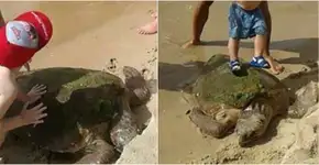 Foto: (Imagem sem texto alternativo disponivel ID [1100227])