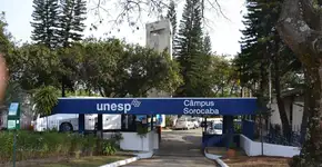 Foto: (Divulgação)