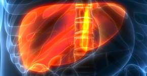 Sintomas e tratamento da gordura no fígado