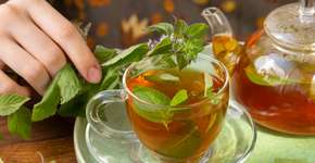 Foto: (iStock/Marina Kositsyna)