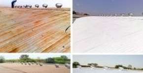 Foto: (Imagem sem texto alternativo disponivel ID [1870103])