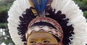 Foto: (Imagem sem texto alternativo disponivel ID [1864733])