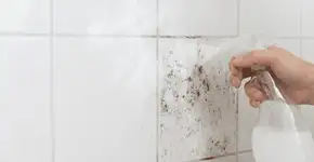 Foto: (Imagem sem texto alternativo disponivel ID [2751678])