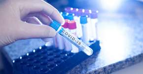 Foto: (iStock/Juliano703)