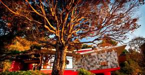 Foto: (Divulgação)