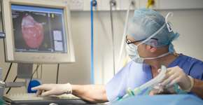 Foto: (sturti/istock)