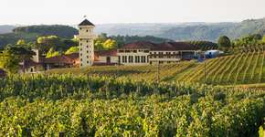 Foto: (Thiago Santos/iStock)