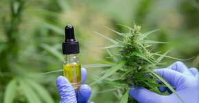 Foto: (iStock/Tinnakorn Jorruang)