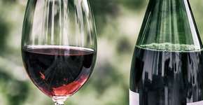 Uma taça de vinho por dia pode proteger seu coração; entenda como