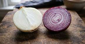 Foto: (Imagem sem texto alternativo disponivel ID [2789122])