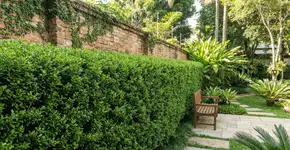 Foto: (Imagem sem texto alternativo disponivel ID [2751517])