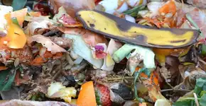 MP pede prisão de homens que furtaram comida vencida que ia para o lixo