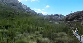 Foto: (Mario Sergio Andrioli/iStock)