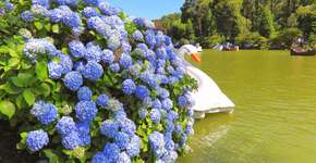 Gramado entra em lista global de destinos para conhecer em 2022