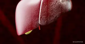 Foto: (tussiksmail.gmail.com/depositphotos)